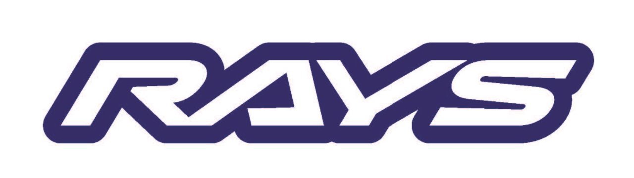 レイズ