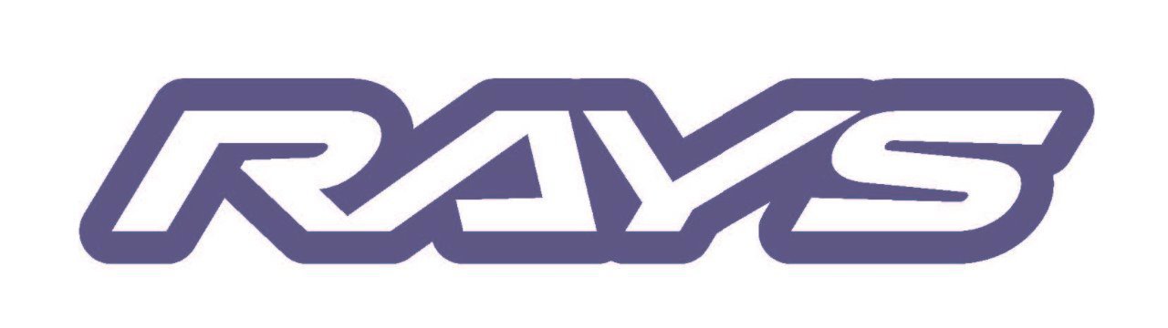 レイズ